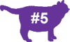 VCA Big Pet Project Overweight Cat Icon
