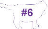 VCA Big Pet Project Overweight Cat Icon
