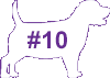 VCA Big Pet Project Overweight Dog Icon