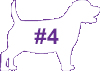 VCA Big Pet Project Overweight Dog Icon