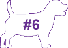 VCA Big Pet Project Overweight Dog Icon