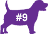 VCA Big Pet Project Overweight Dog Icon