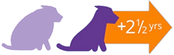 Healthy-Weight Cats Live Longer icon
