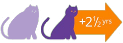 Healthy-Weight Cats Live Longer icon