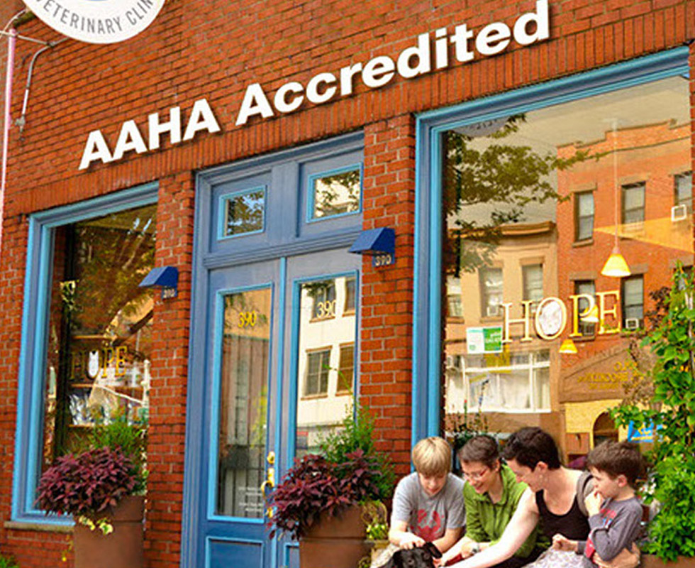 Hospital Picture of VCA Hope Animal Hospital
