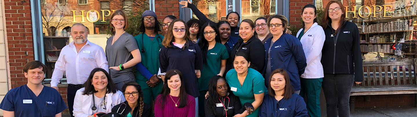 Team Picture of VCA Hope Animal Hospital
