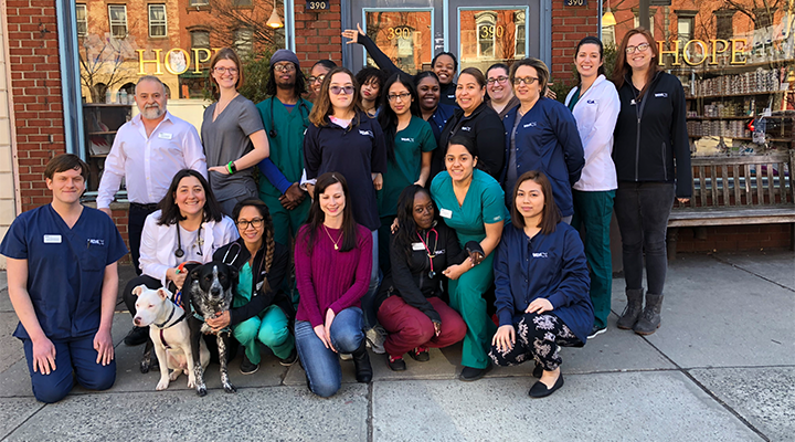Team with Mosaic myVCA WOOFWare
