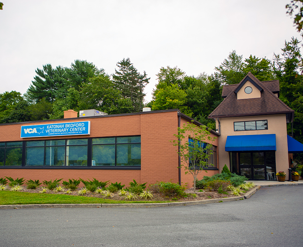 Katonah Bedford Animal Hospital