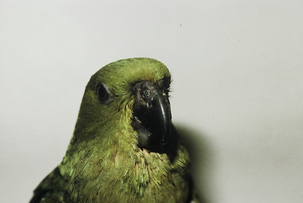 image 22