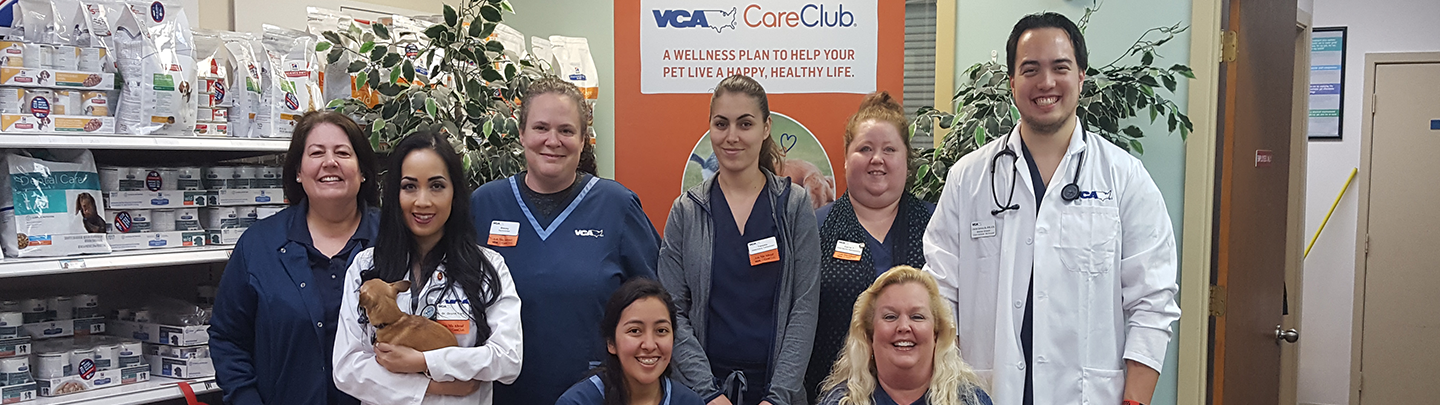 Our Team at VCA Kelliwood