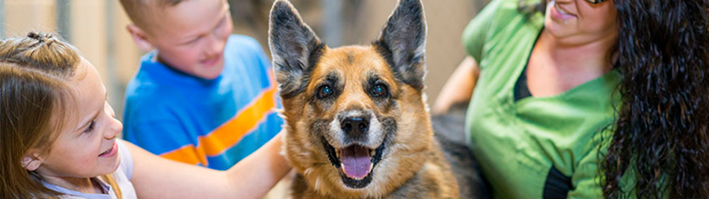 kids petting dog