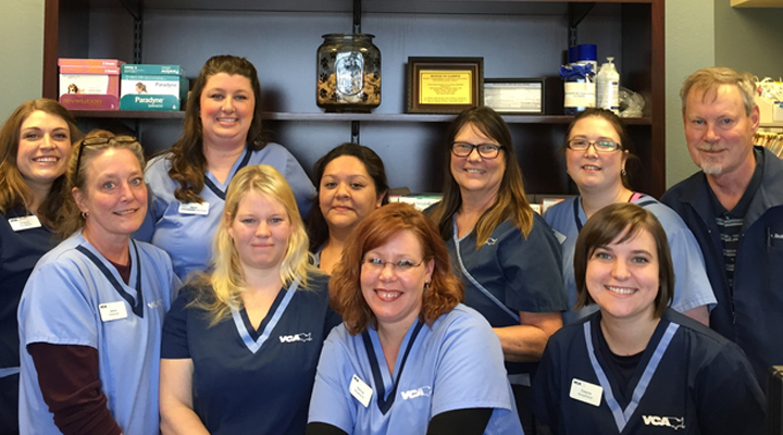 Team with Mosaic myVCA WOOFWare