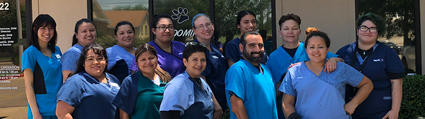 Our Team at Mission TX