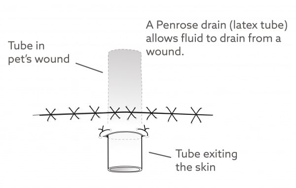penrose_drain-01