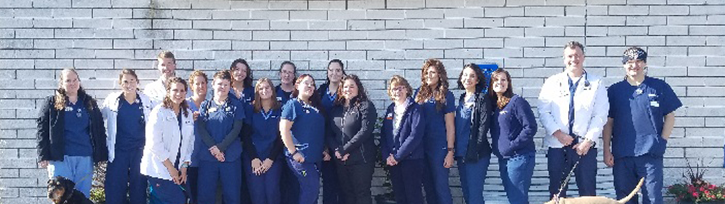 Team 2018