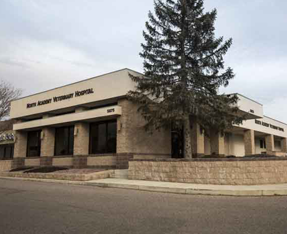 VCA North Academy Animal Hospital in Colorado Springs CO