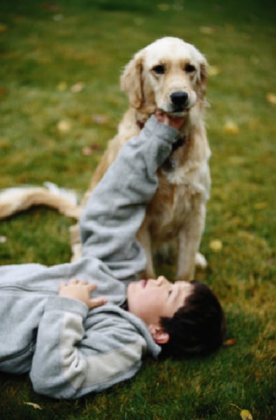 veterinary_tcm-4