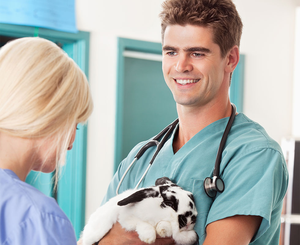 Our Vet Support