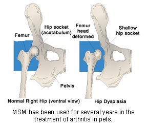 msm-1