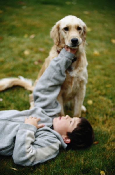 veterinary_tcm-4