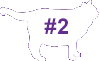 VCA Big Pet Project Overweight Cat Icon