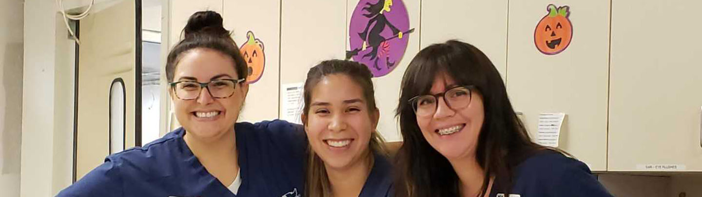 Services at Animal Referral Arizona