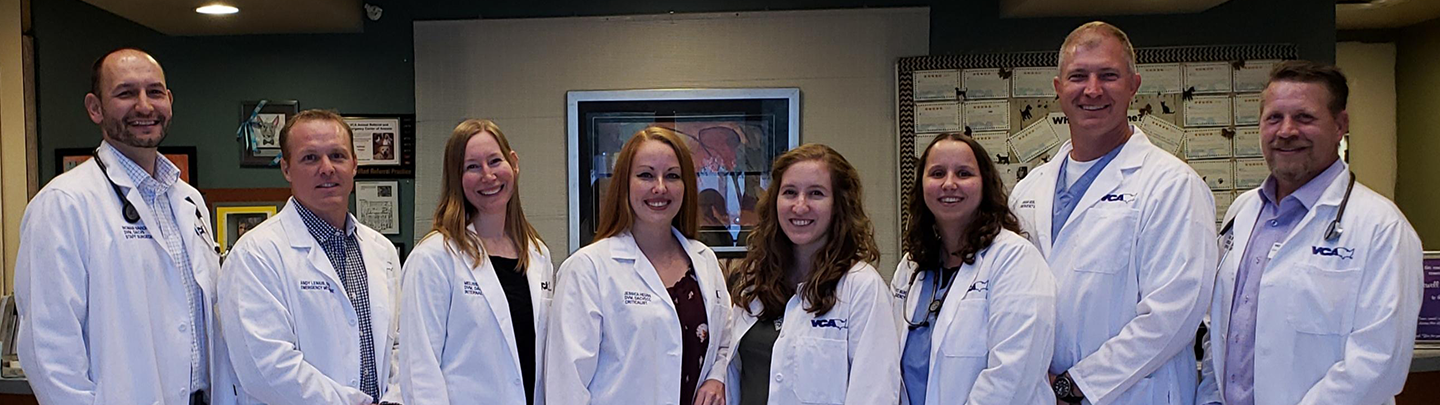 Our Team at Animal Referral Arizona