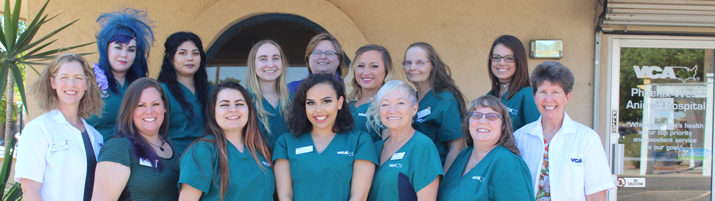 Our Team at Phoenix West