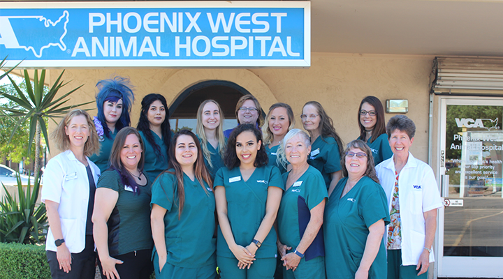 Team with Mosaic myVCA WOOFWare
