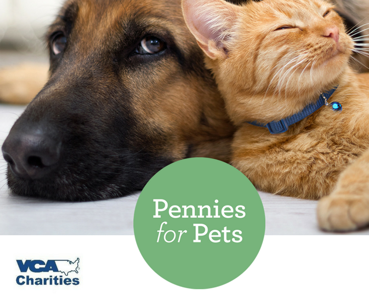 VCA Pennies for Pets 01