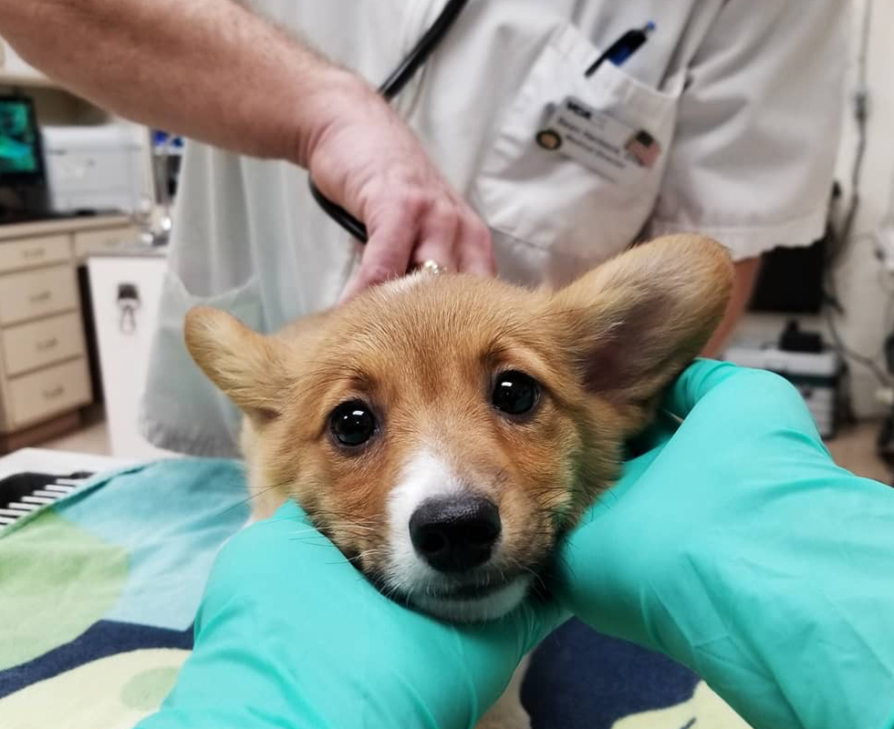 During Your First Visit
