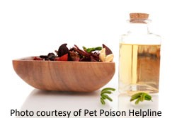 essential-oil-liquid-potpourri-poisoning
