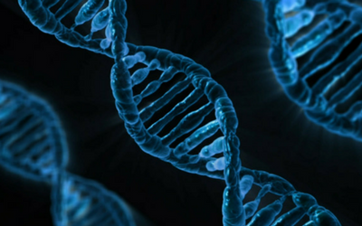 genetic_tests