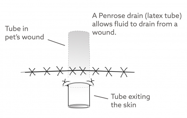 penrose_drain-01 penrose_drain-01