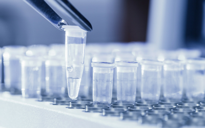 dna-pcr
