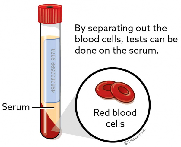 vacutainers_updated2017-01