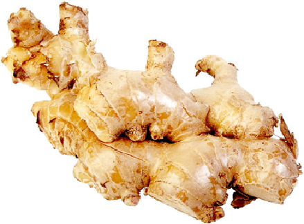 ginger-1