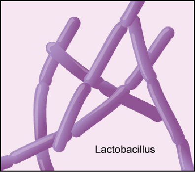 probiotics-1 probiotics-1