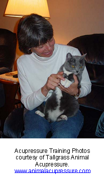 veterinary_acupuncture-5