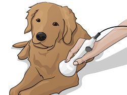 laser-therapy1