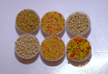 canaries_-_feeding-2