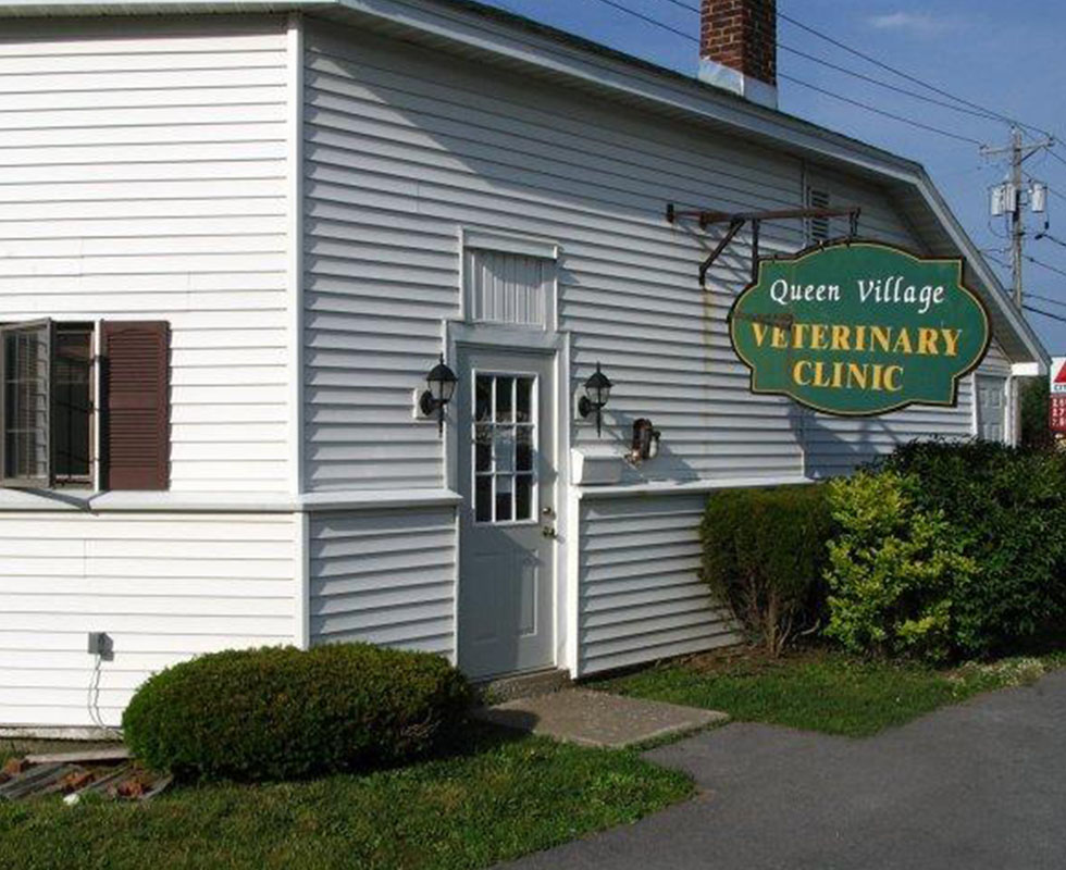 Hospital Picture of VCA Queen Village Animal Hospital