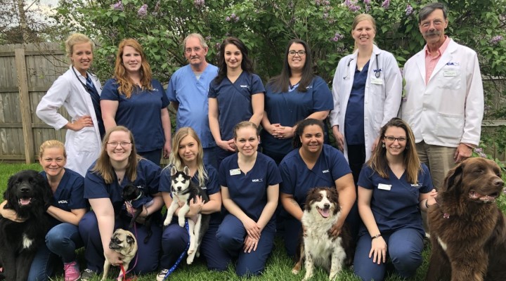 Team with Mosaic myVCA WOOFWare
