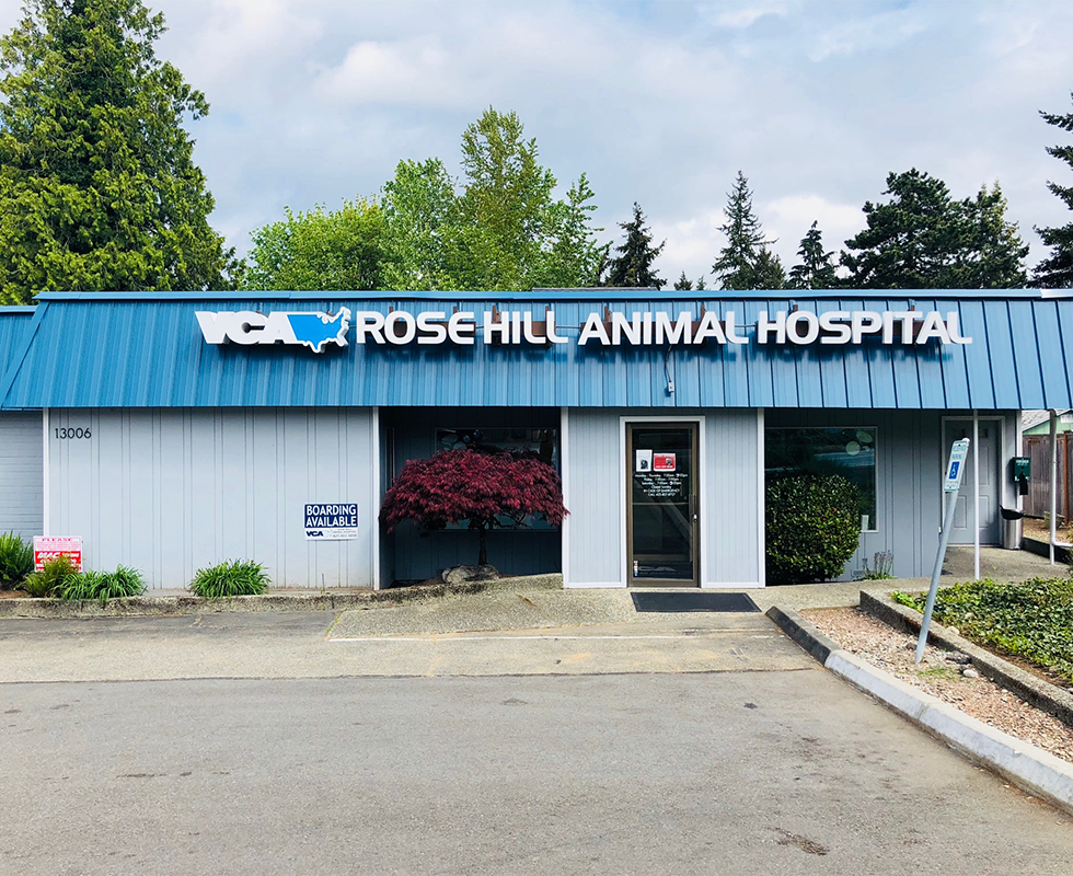 Rose Hill