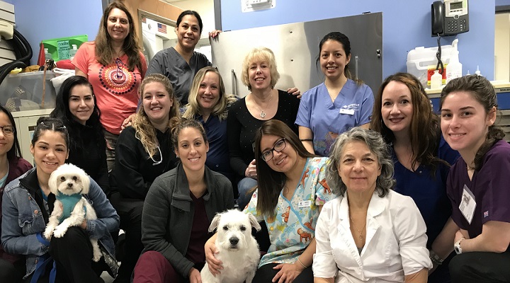 Team with Mosaic myVCA WOOFWare