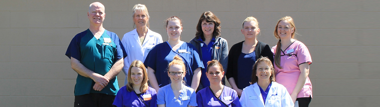 Team Picture of VCA Snohomish Animal Hospital
