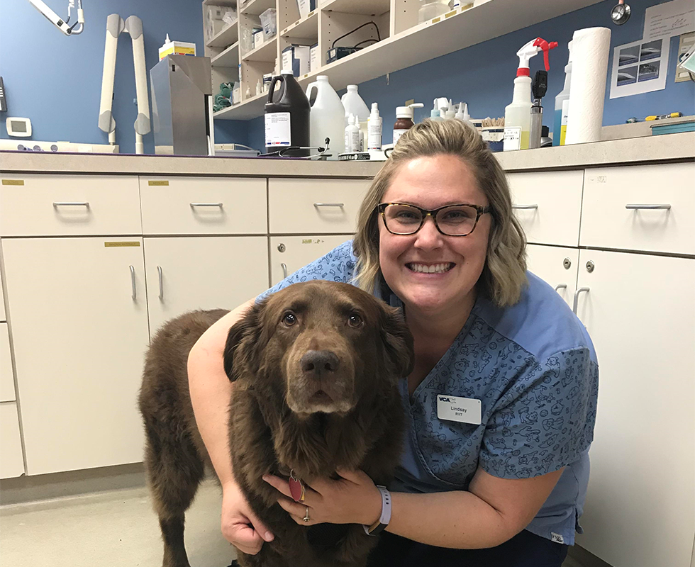 Our Vet Support