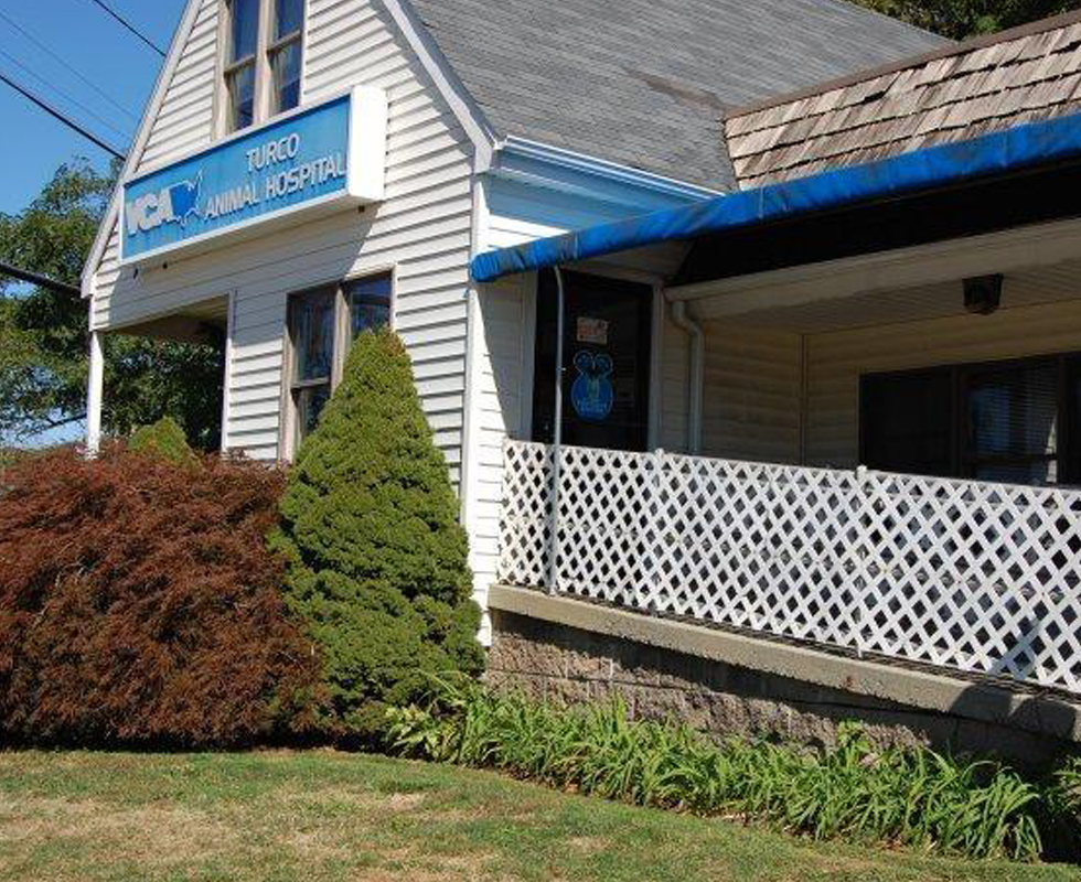 Hospital Picture of VCA Turco Animal Hospital