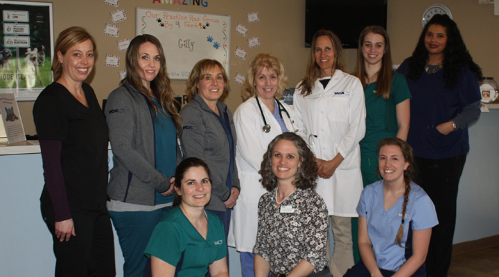 Team with Mosaic myVCA WOOFWare