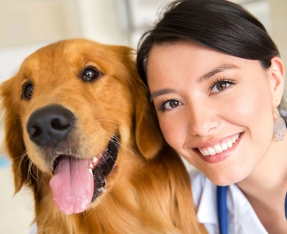 Veterinarian and dog smiling